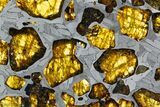 Fukang Pallasite ( g) Slice - Queen Of The Pallasites! #308274-4